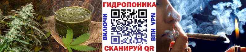 Cannafood конопля  даркнет сайт  ссылка на мегу как зайти  Зеленоградск 