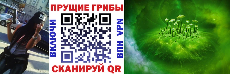 Галлюциногенные грибы Cubensis  Зеленоградск 